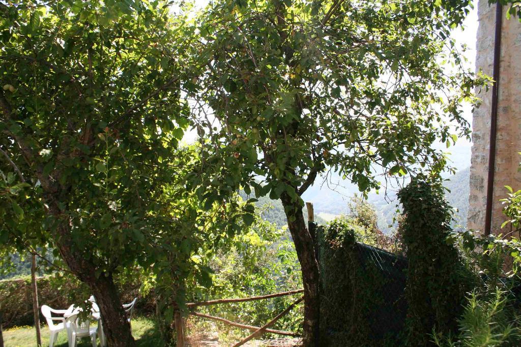 Borgo Di Fonni Casa de hóspedes Sellano Exterior foto